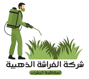 الفراشة الذهبية