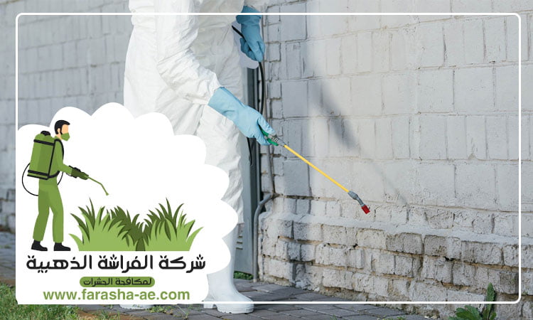 شركة مكافحة الصراصير في دبي