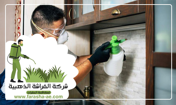 مكافحة حشرات المطبخ دبي
