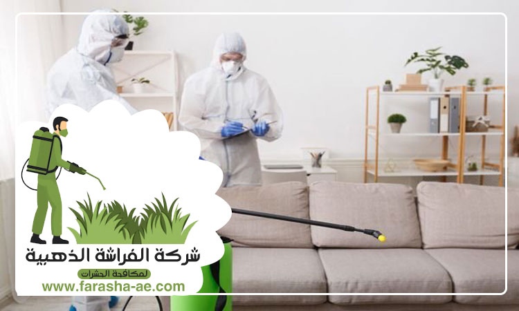 مكافحة بق الفراش في دبى